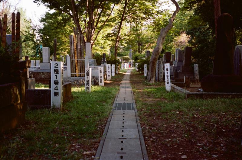 Tokyo : carnet de voyage